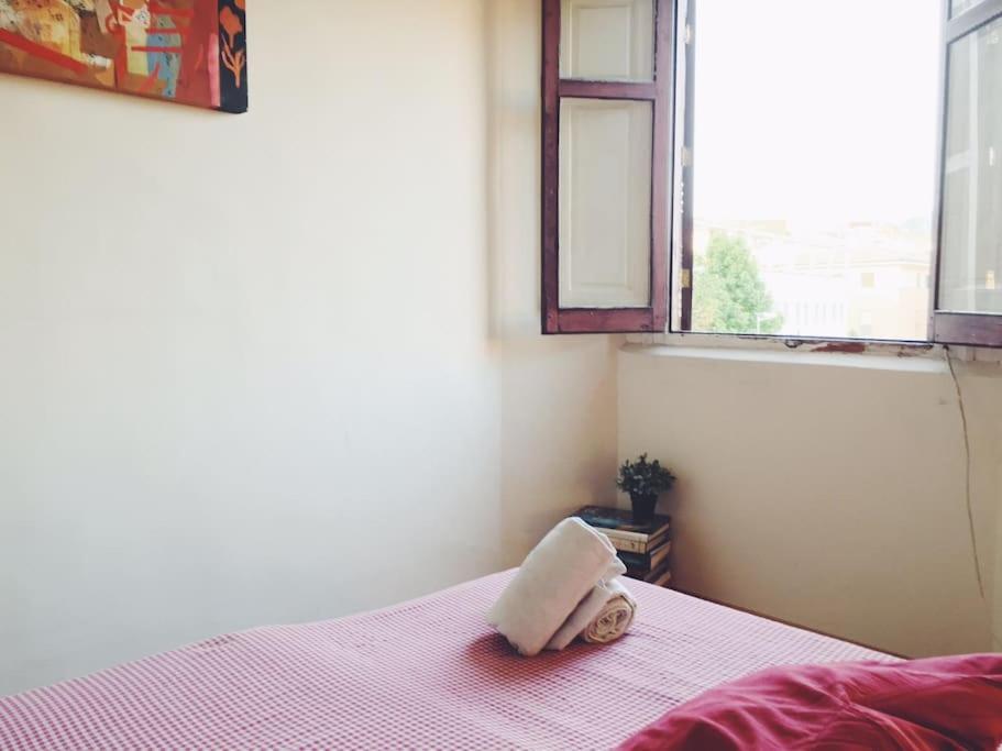Habitaciones Corazon Centro Historico Málaga Dış mekan fotoğraf